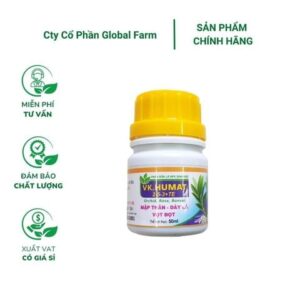 Siêu mập thân, kie VK Humat - Chai 50ml